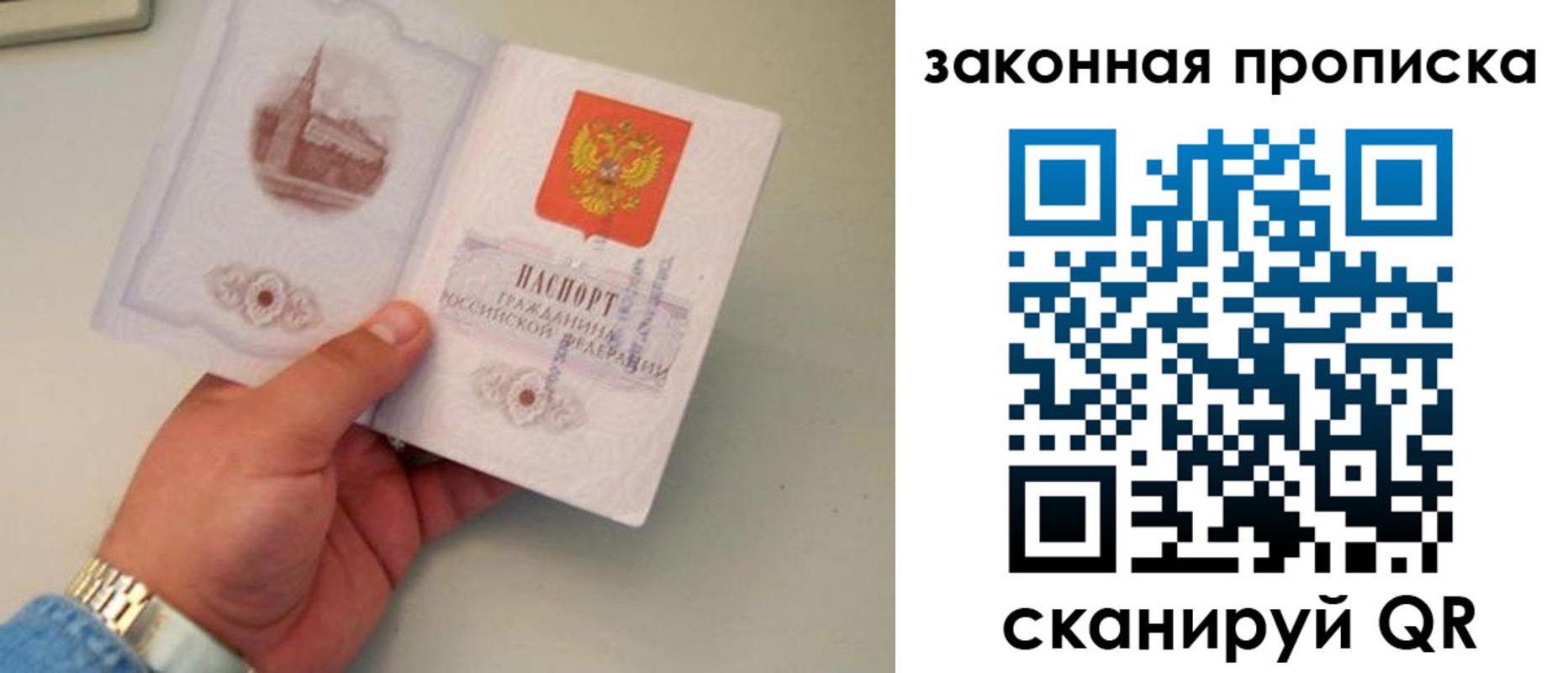 прописка штамп в Жукове